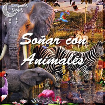 Soñar con animales